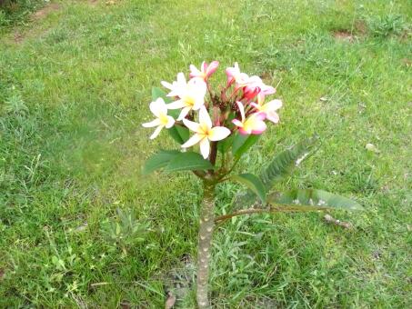 Paraguay im November