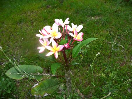 Paraguay im November