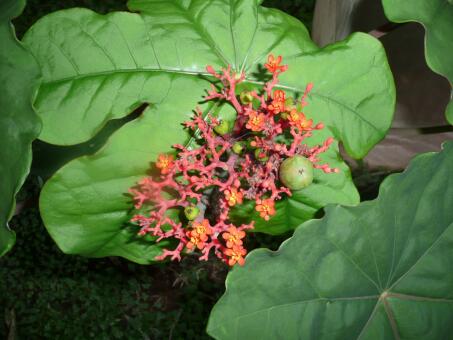 Paraguay im November