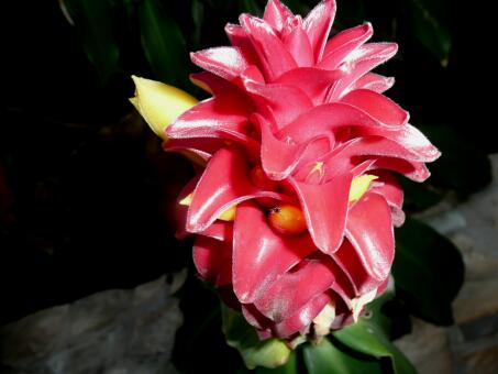 Paraguay im November