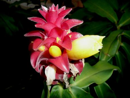 Paraguay im November