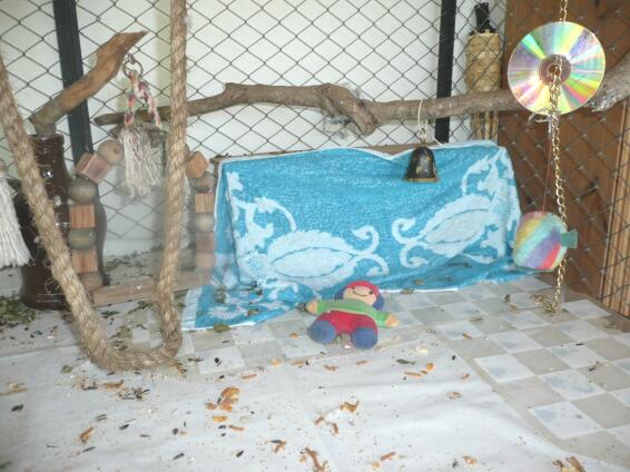 Fritzi von Altos zu Paraguay