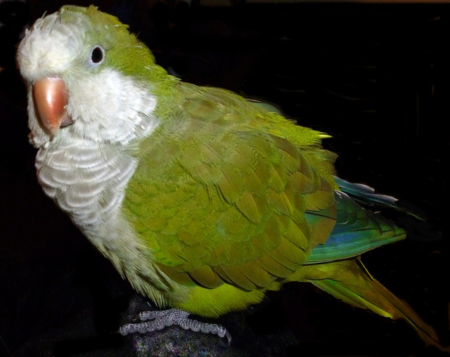 Hurra Fotoapparat in San Lorenzo gekauft