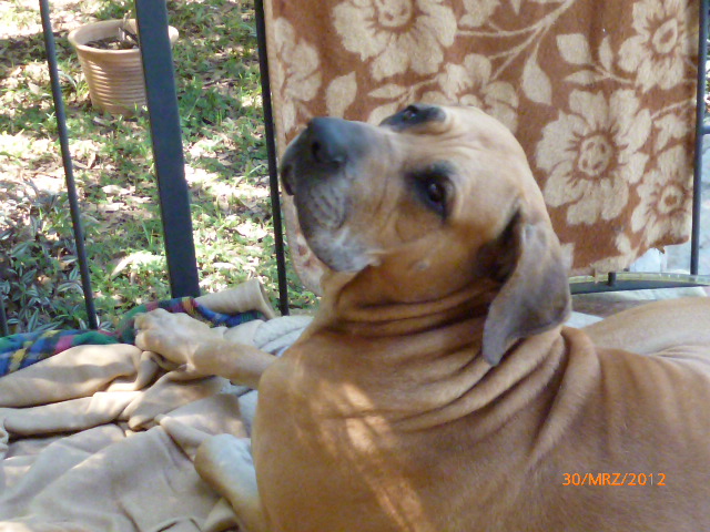 Hurra Fotoapparat in San Lorenzo gekauft