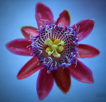 Hurra Fotoapparat in San Lorenzo gekauft