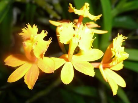 Herbstanfang in Paraguay