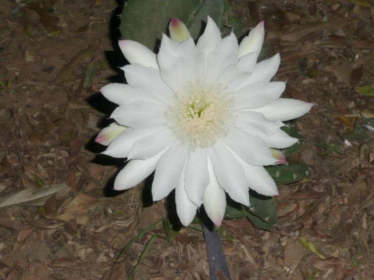 Herbstanfang in Paraguay