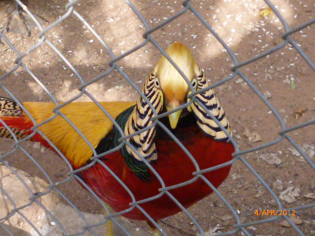 Familienplanung in Paraguay