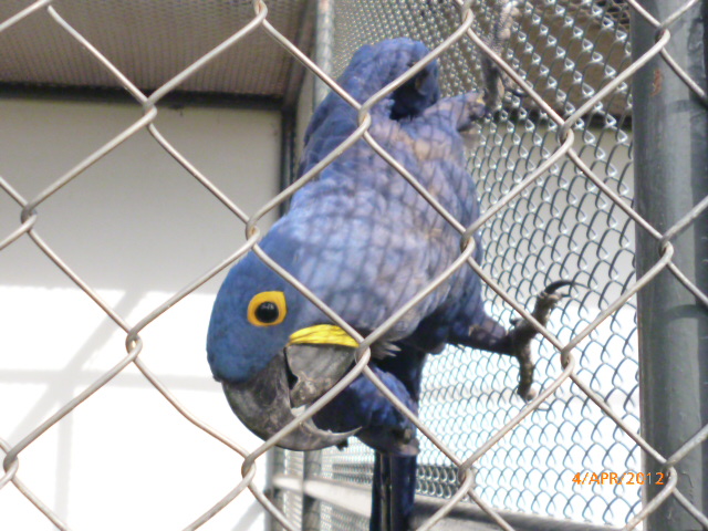 Familienplanung in Paraguay