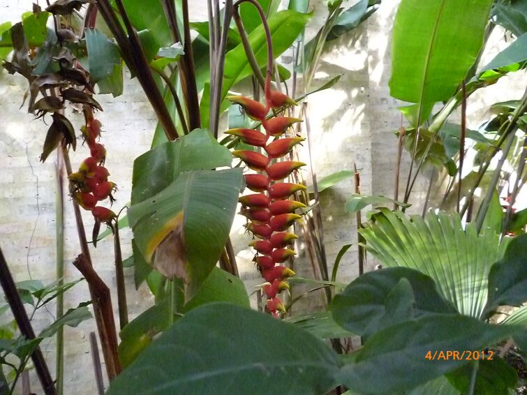 Familienplanung in Paraguay