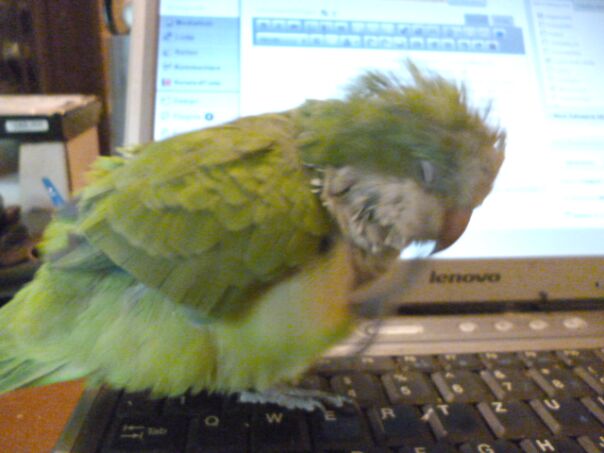 Ich lüfte ein Geheimnis