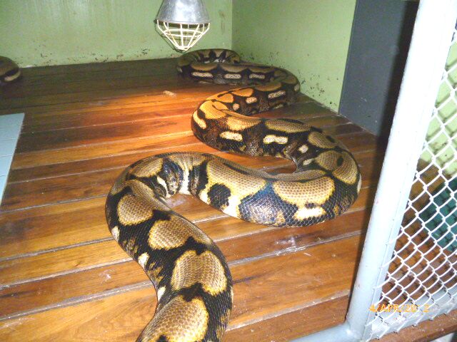 Familienplanung in Paraguay