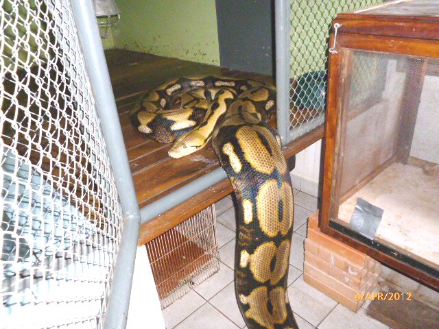 Familienplanung in Paraguay