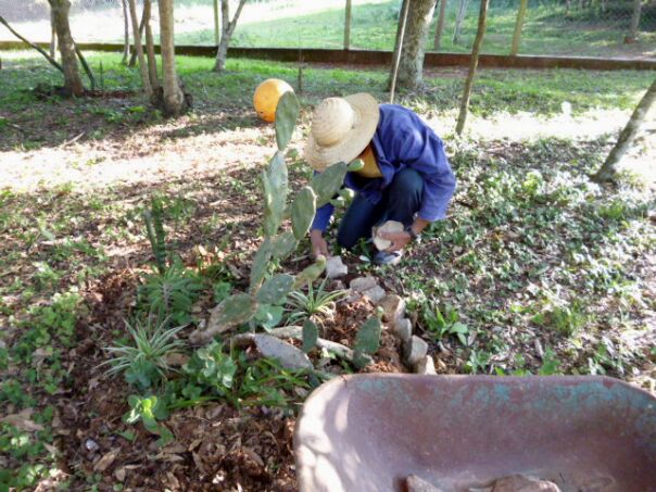 Einkaufen in San Lorenzo und Pancho