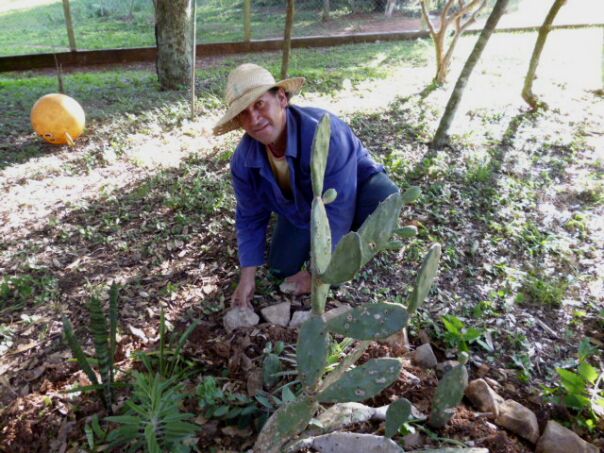 Einkaufen in San Lorenzo und Pancho