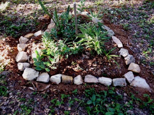 Einkaufen in San Lorenzo und Pancho