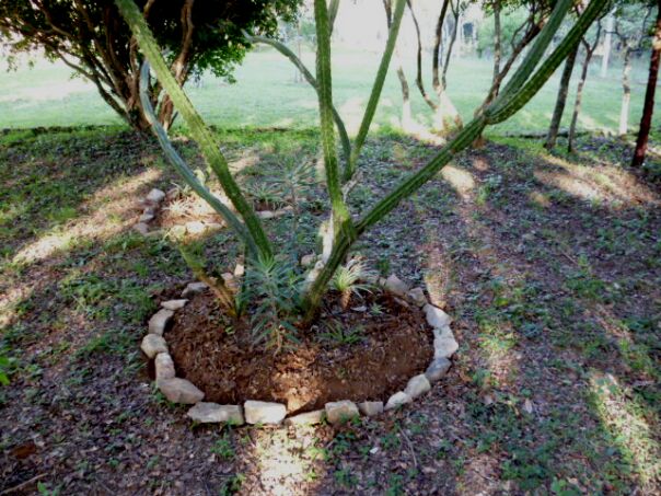 Einkaufen in San Lorenzo und Pancho