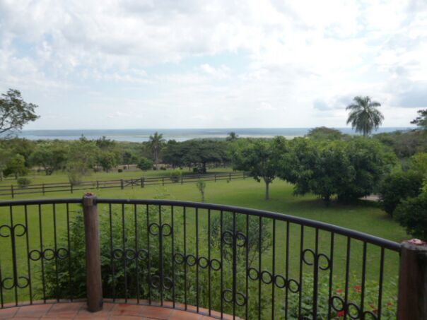 Geburtstag auf der Finca