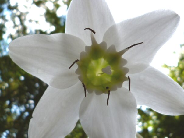 Herbst Winter in Paraguay