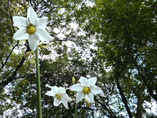 Herbst Winter in Paraguay