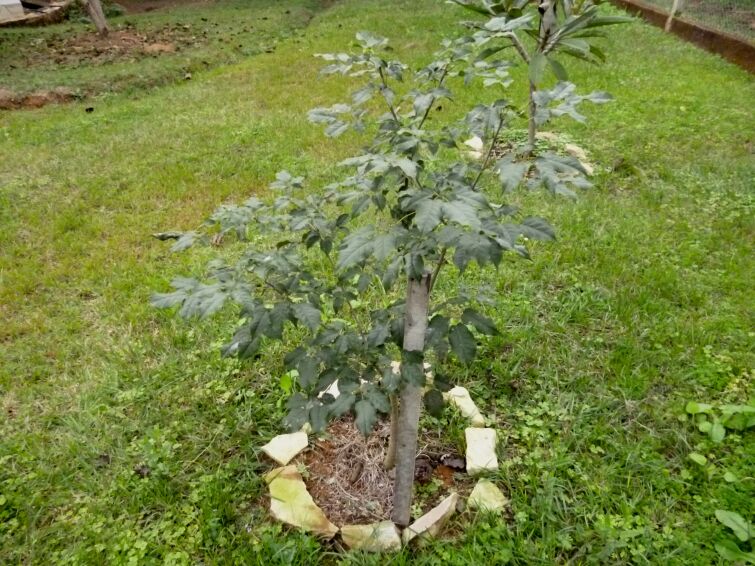 Der Winter hat uns fest im Griff