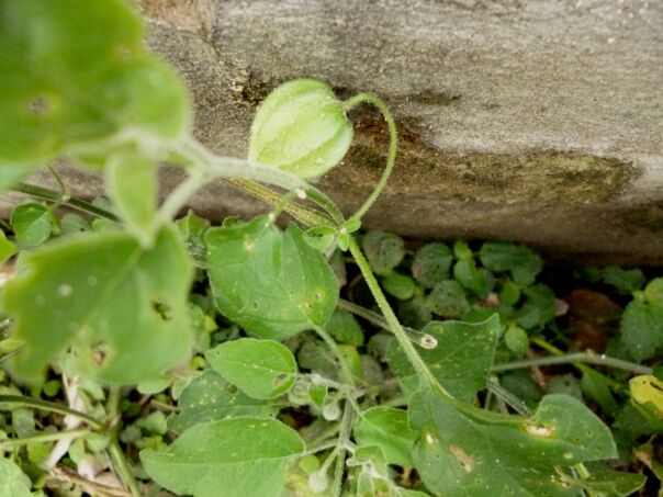 Der Winter hat uns fest im Griff