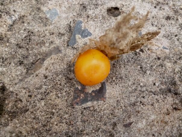 Der Winter hat uns fest im Griff