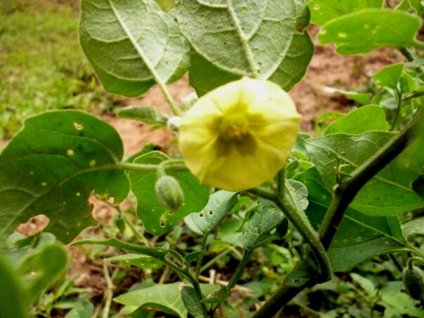 Der Winter hat uns fest im Griff