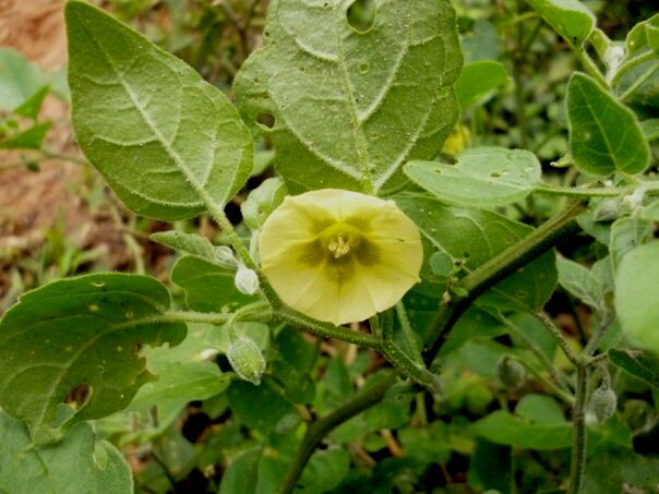 Der Winter hat uns fest im Griff