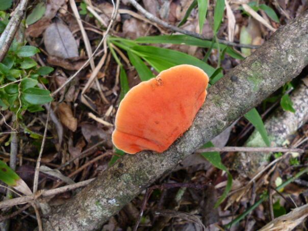 Der Winter hat uns fest im Griff