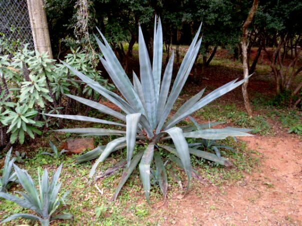 Der Winter hat uns fest im Griff