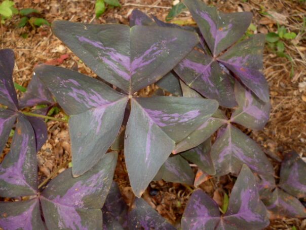 Der Winter hat uns fest im Griff