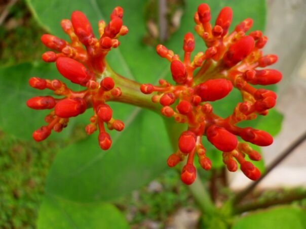 Der Winter hat uns fest im Griff