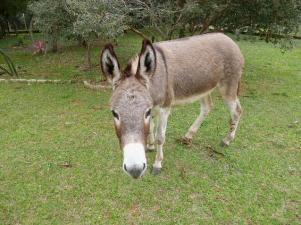 Der Winter hat uns fest im Griff