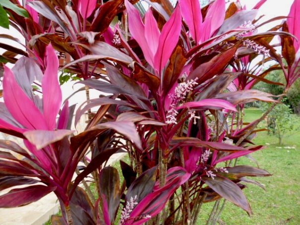 Der Winter hat uns fest im Griff