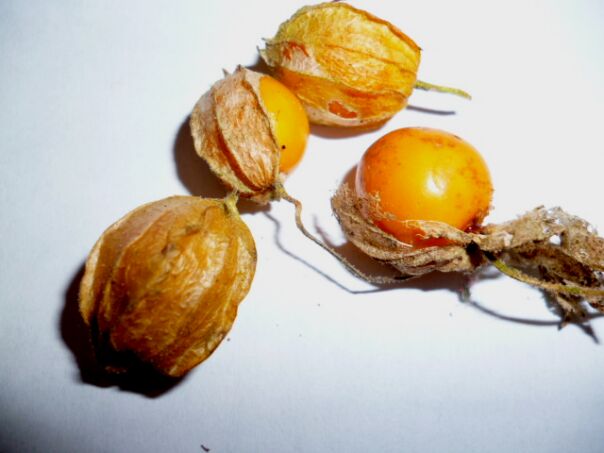 Der Winter hat uns fest im Griff