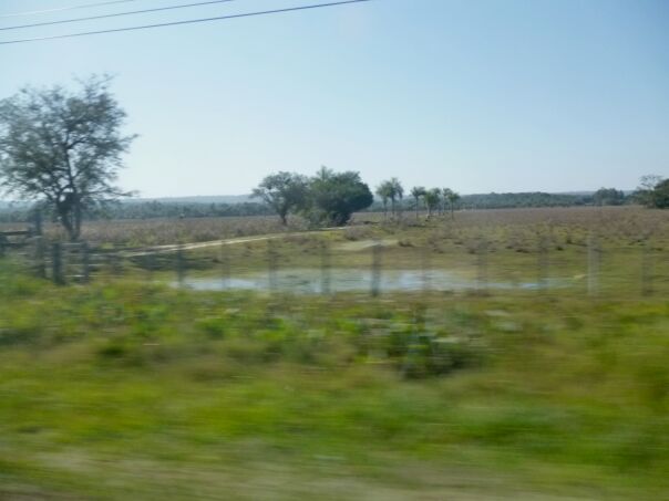 Zeugen des letzten Regens