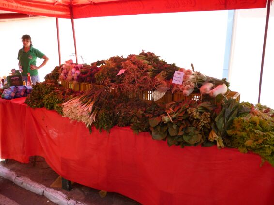 1. Geburtstag Agro Muni, San Bernardino