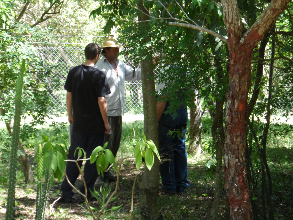 Lieber Besuch, Ywapuru und Boris mit Cora