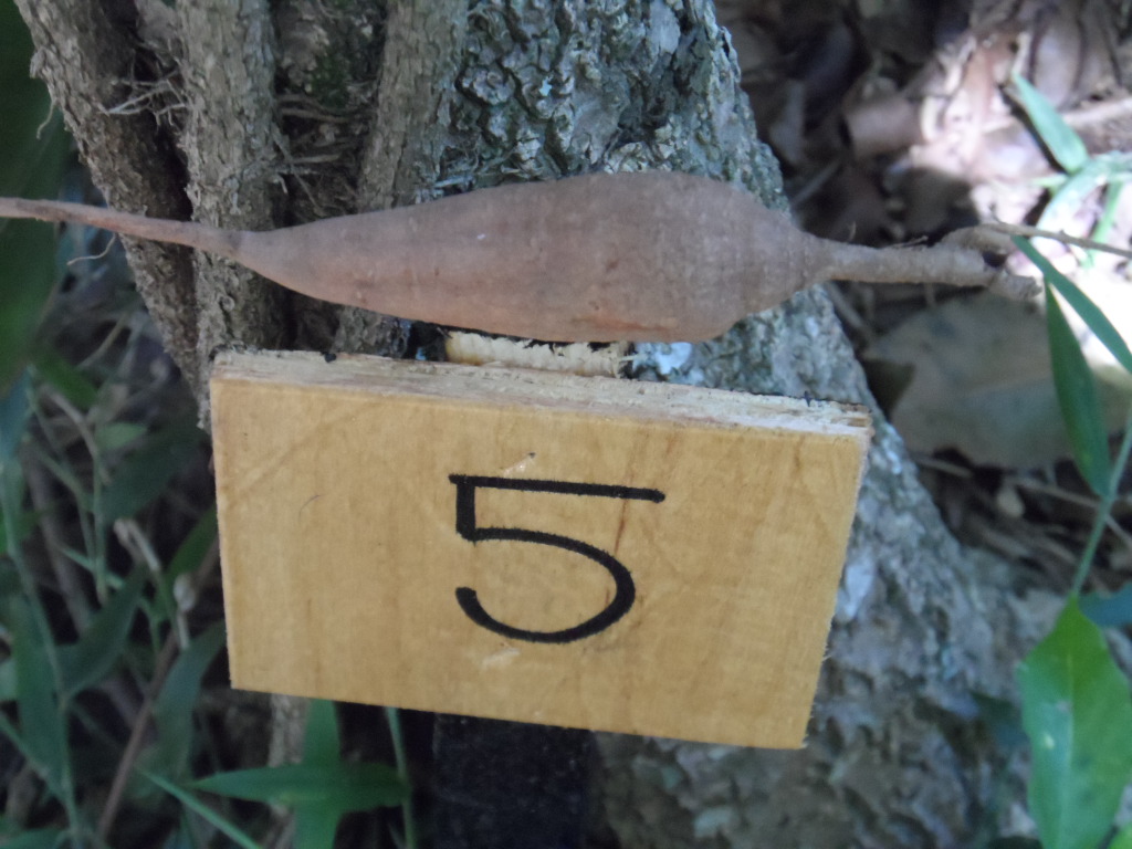 Lieber Besuch, Ywapuru und Boris mit Cora