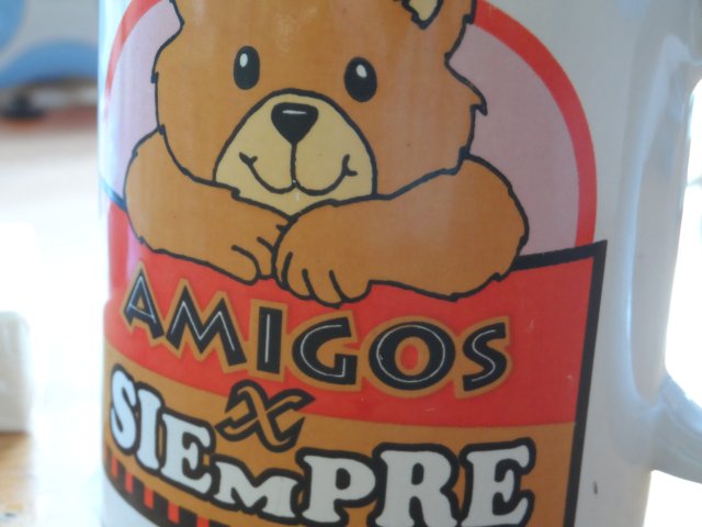 Frühling in Paraguay und es weihnachtet sehr