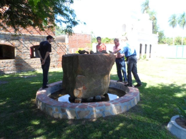 Zu Besuch bei Freunden