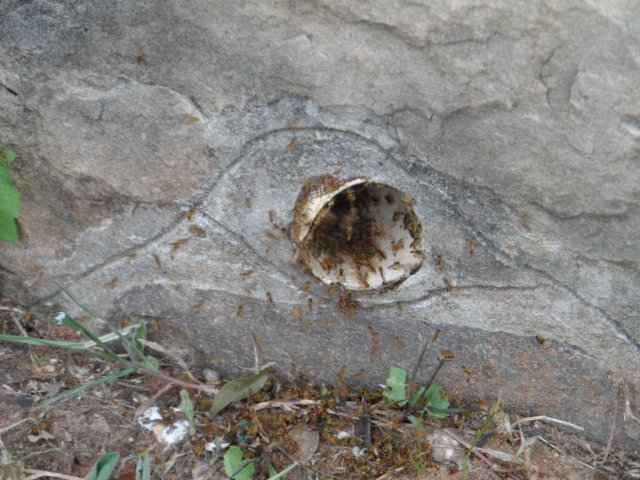 Trotz Regentanz kein Regen 