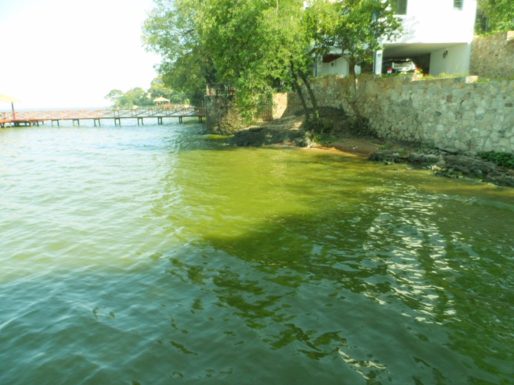 Chlor in den Ypacarai See? was macht die Regierung ? nichts!