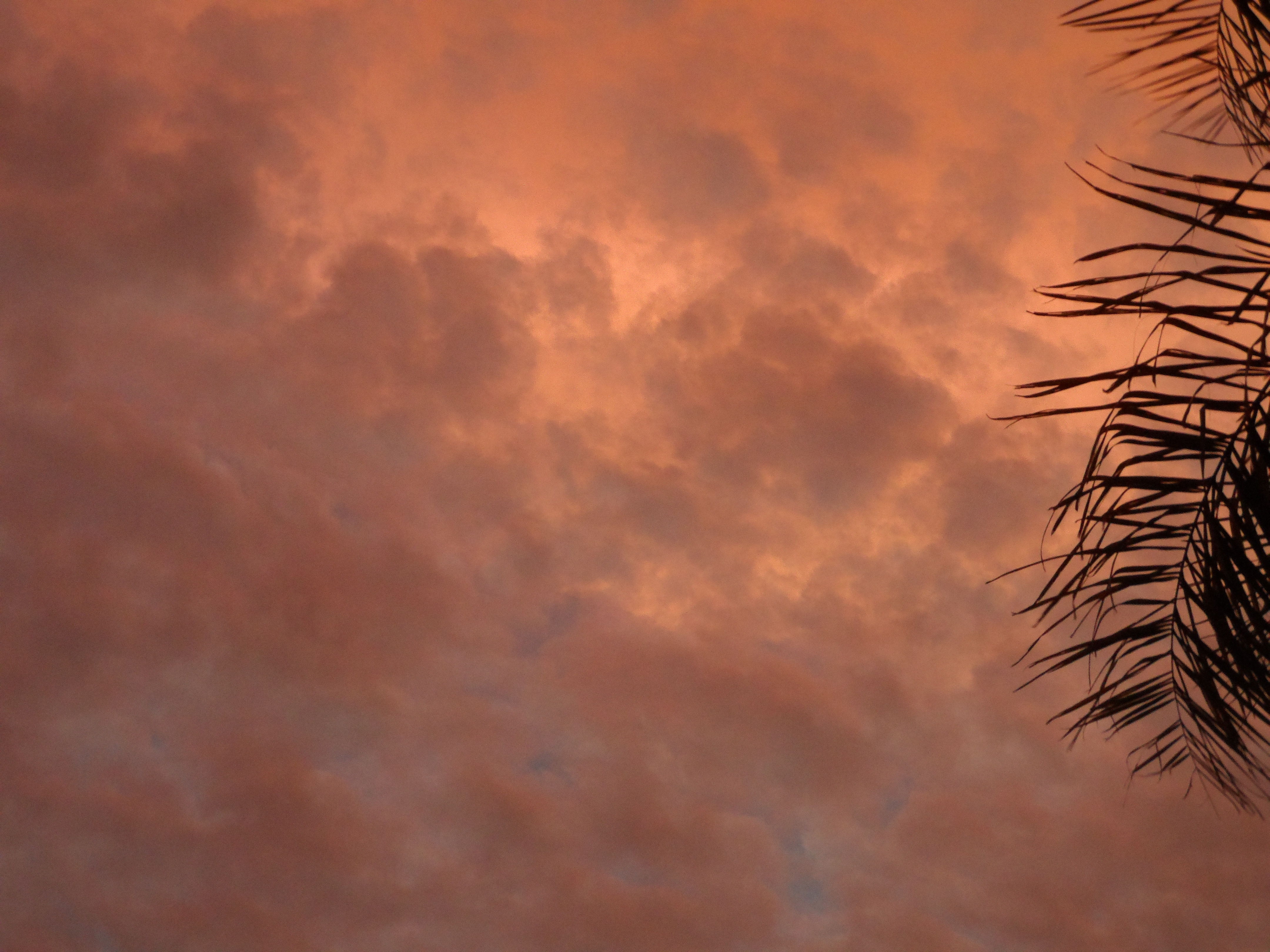 Samstagabend und der Himmel über uns