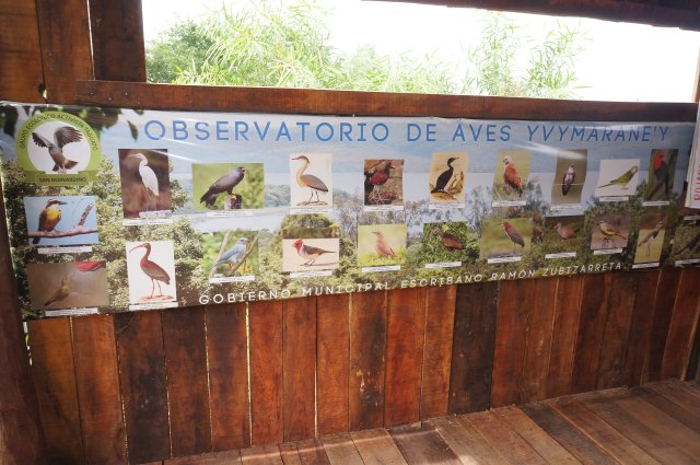 Inauguración de observatorio de aves