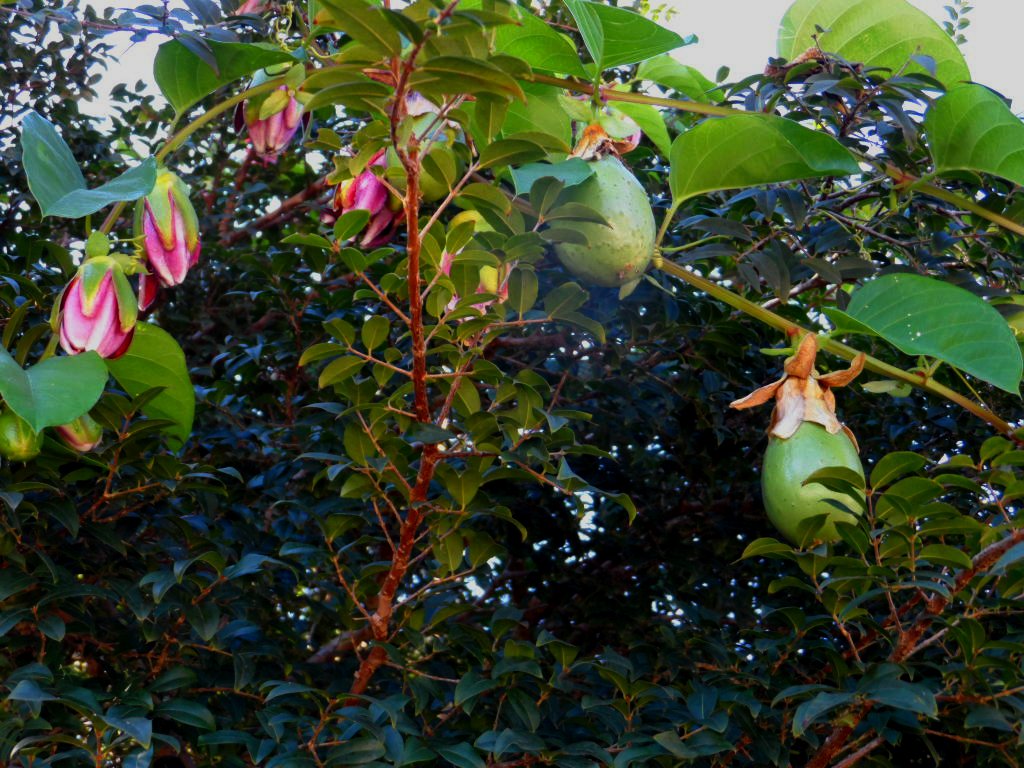 Großmutter ist 96 Jahre geworden