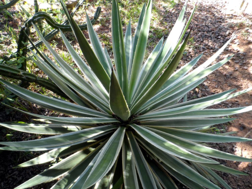 der Mai ist gekommen.........