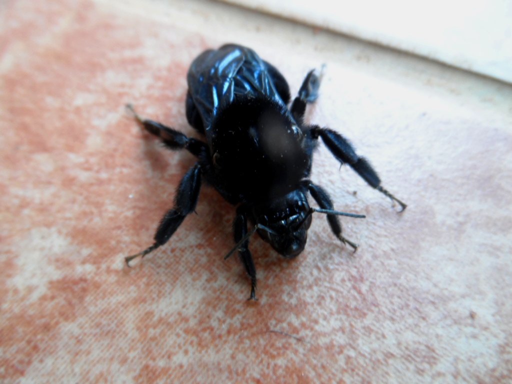 gleich kommt der Winter