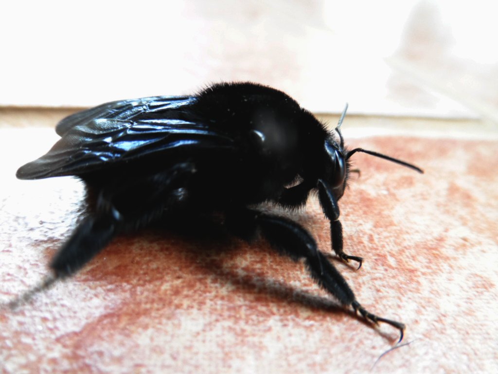 gleich kommt der Winter